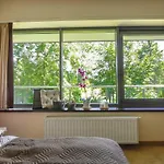 Vip Szklane The View Διαμέρισμα Ζακοπάνε